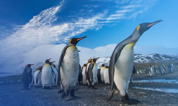 媒體營(yíng)銷(xiāo)